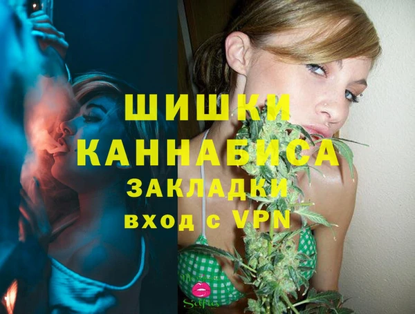 скорость Няндома