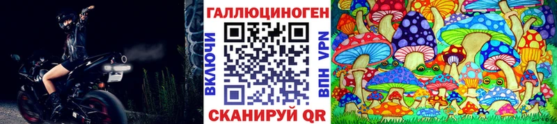 Псилоцибиновые грибы Psilocybe ссылка на мегу ONION Новозыбков