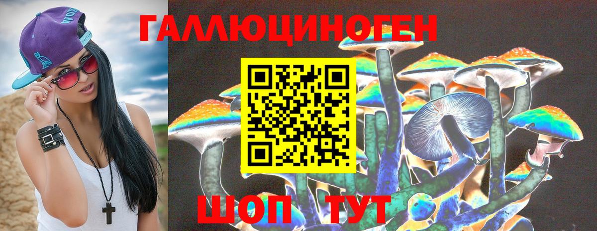 Псилоцибиновые грибы мицелий  Новозыбков 