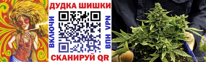 наркота  Новозыбков  гидра ссылка  Канабис Ganja 