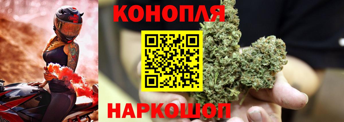 Конопля конопля Новозыбков