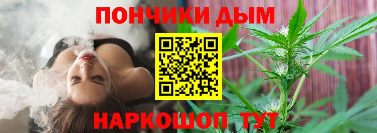 Бошки марихуана планчик  Конопля сатива  МАРИХУАНА индика  Вход с VPN  Новозыбков  Каннабис планчик 